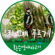 우푸푸 캠페인